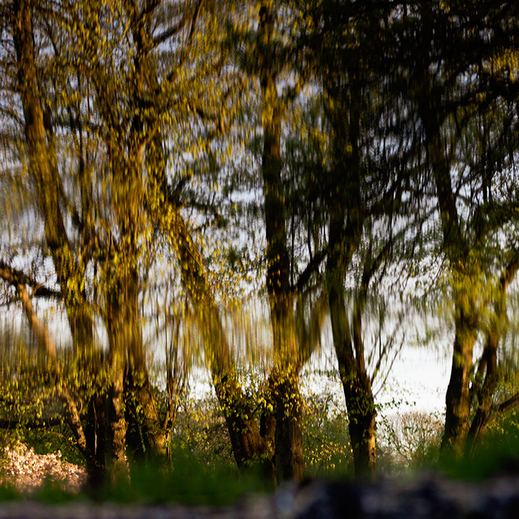 Abstract reflections in a puddle